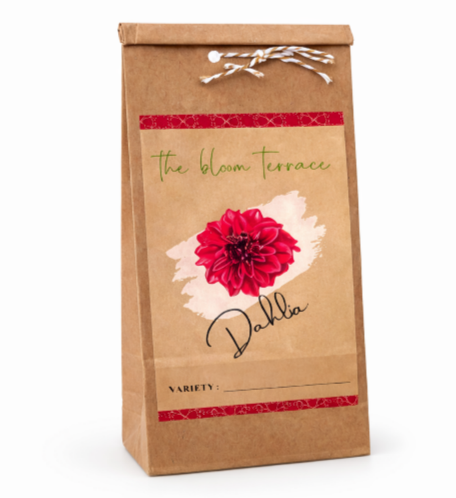 Dahlia Platinum Blonde